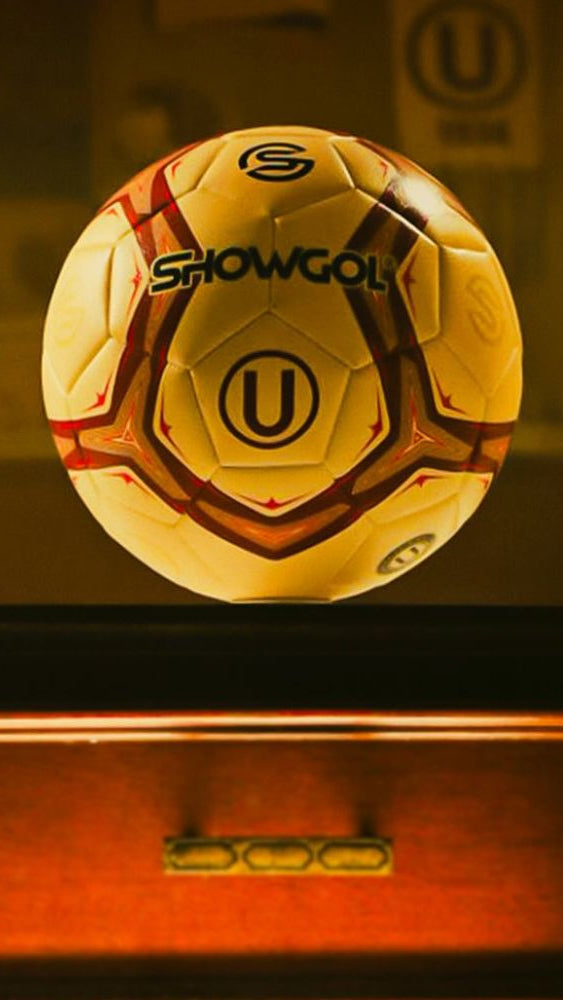 Texto alternativo de imagen