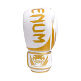 Guantes Para Box Challenger 2.0 Venum