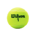 WLS-150A.jpg
