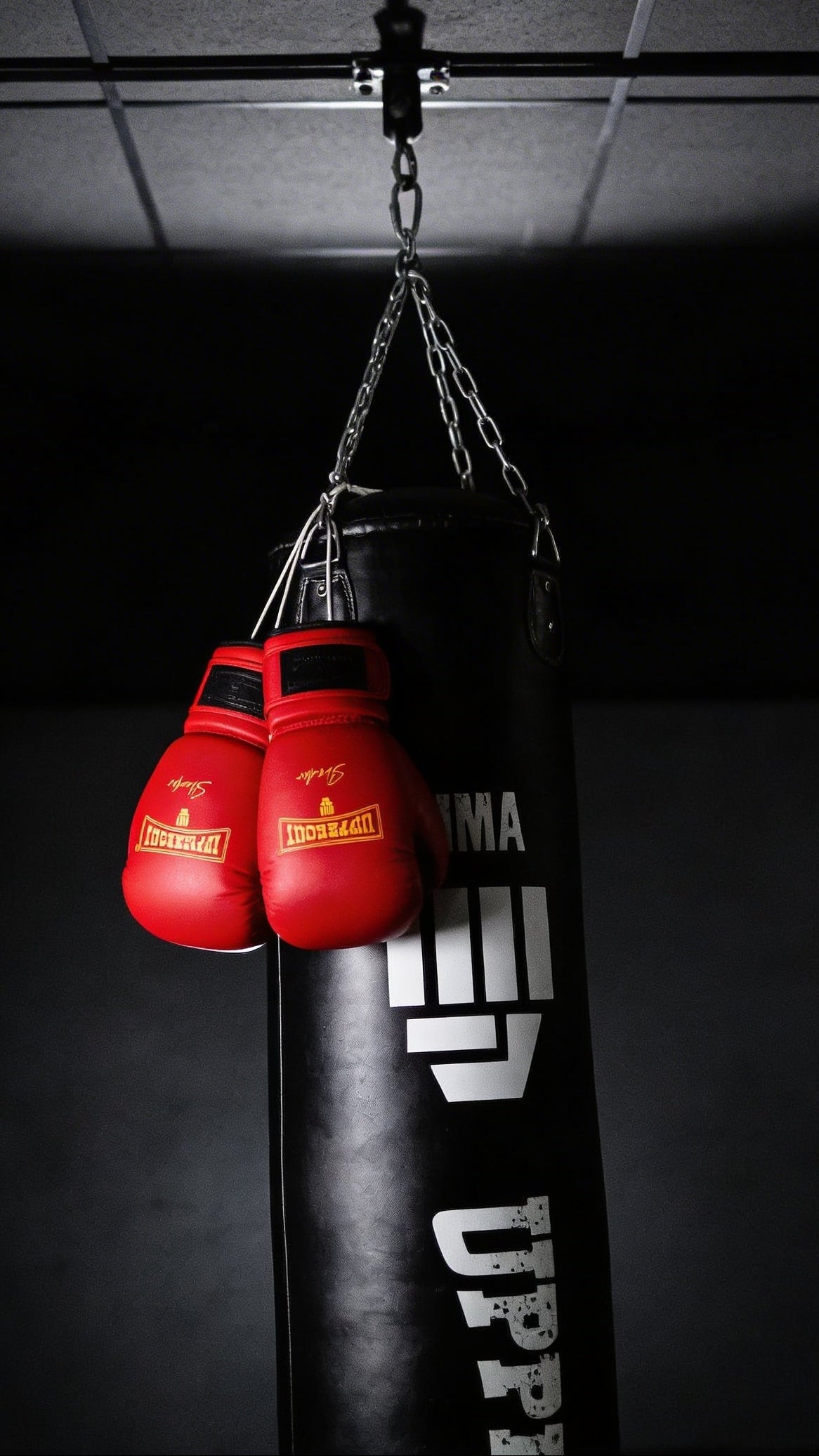 Texto alternativo de imagen